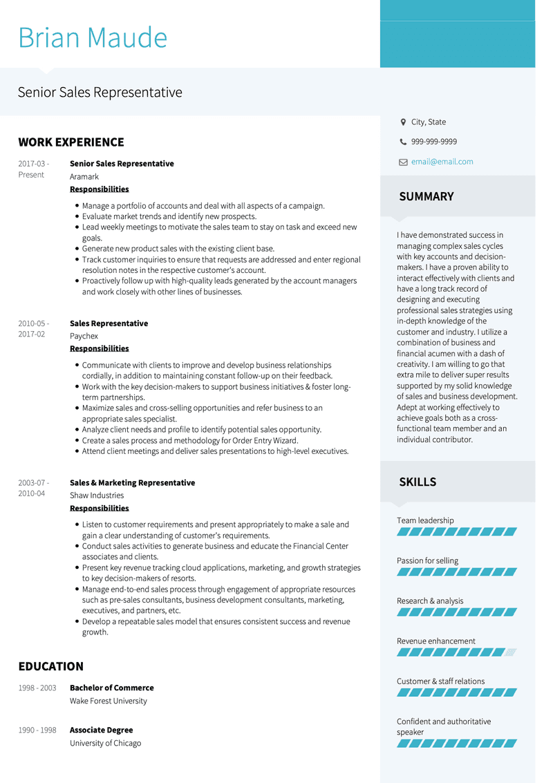 Senior Sales Reprasentative CV Example and Template