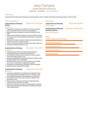 Assistant Director Of Nursing Resume Sample and Template