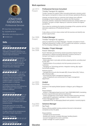 Professional Services Consultant Resume Sample and Template