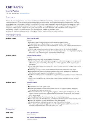 Internal Auditor CV Example and Template
