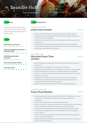 Project Team Member Resume Sample and Template