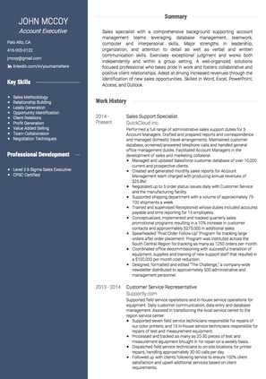 Account Executive CV Example and Template