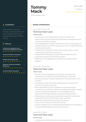 Technical Team Lead Resume Sample and Template