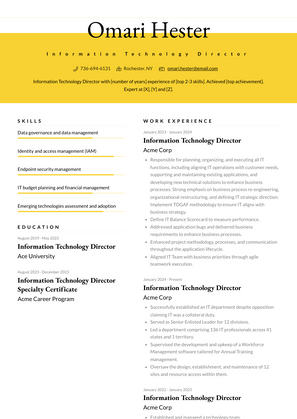 Information Technology Director Resume Sample and Template