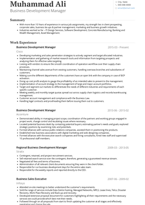 Business Development Manager Resume Sample and Template
