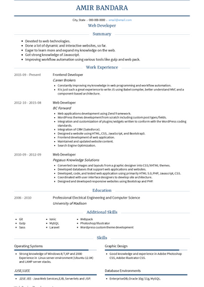 Web Developer Resume Sample and Template