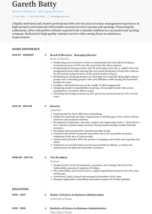 Board of Directors - Managing Director Resume Sample and Template