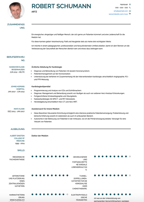 null CV Beispiel und Vorlage