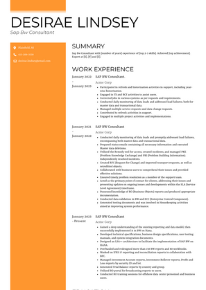 Sap Bw Consultant Resume Sample and Template