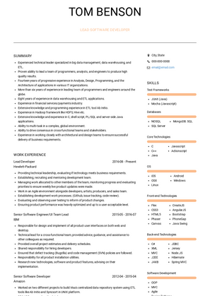 Lead Software Developer Resume Sample and Template