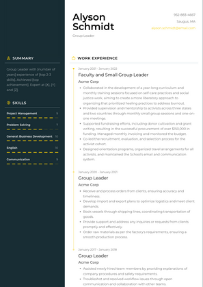 Group Leader Resume Sample and Template
