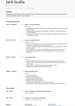 Senior Account Executive Resume Sample and Template