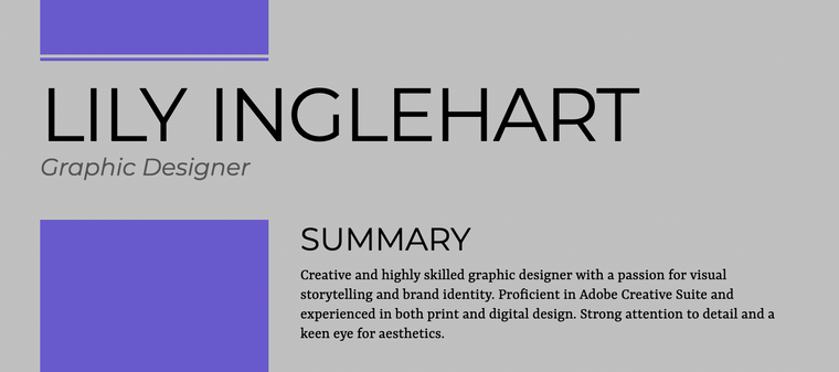 Minimalistic Resume Color Schemes for Creative - Slate Blue and Silver