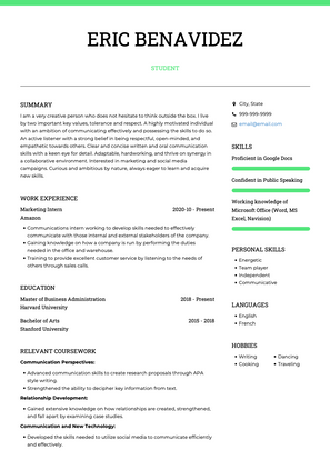 Student CV Example and Template