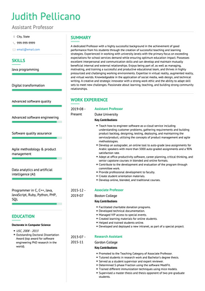 Assistant Professor CV Example and Template