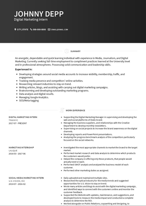 Digital Marketing Intern Resume Sample and Template