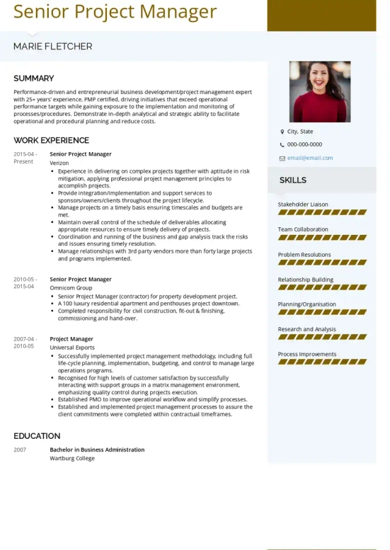 microsoft project resume skills