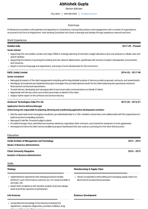 Senior Advisor Resume Sample and Template