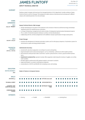 Deputy Technical Director Resume Sample and Template