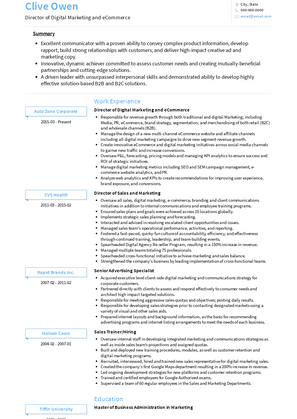 Director of Digital Marketing and eCommerce Resume Sample and Template