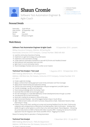 Technical Test Analyst / Test Lead Resume Sample and Template