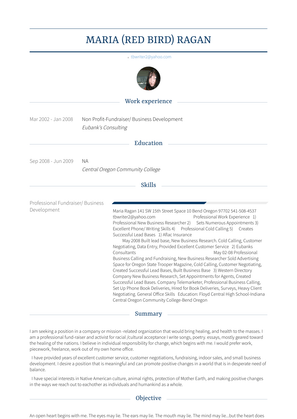 Non Profit Fundraiser/ Business Development Resume Sample and Template