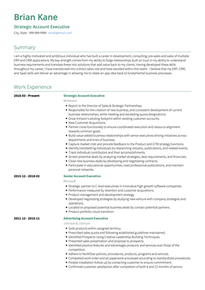 Account Executive CV Example and Template