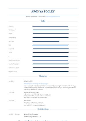 Investor Resume Sample and Template