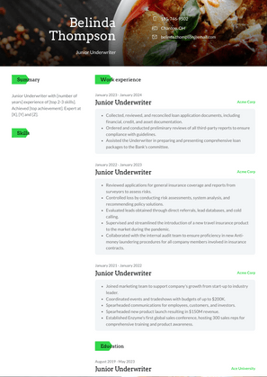 Junior Underwriter Resume Sample and Template