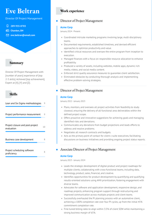 Director Of Project Management Resume Sample and Template