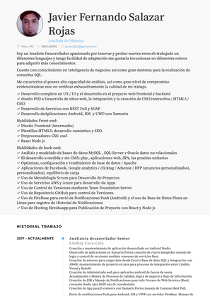 Analista Programador Resume Sample and Template