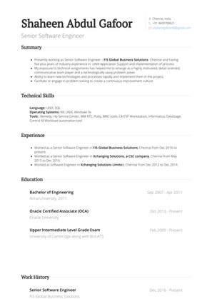 Senior Systems Engineer Resume Sample and Template