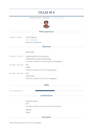 Junior Engineer Resume Sample and Template