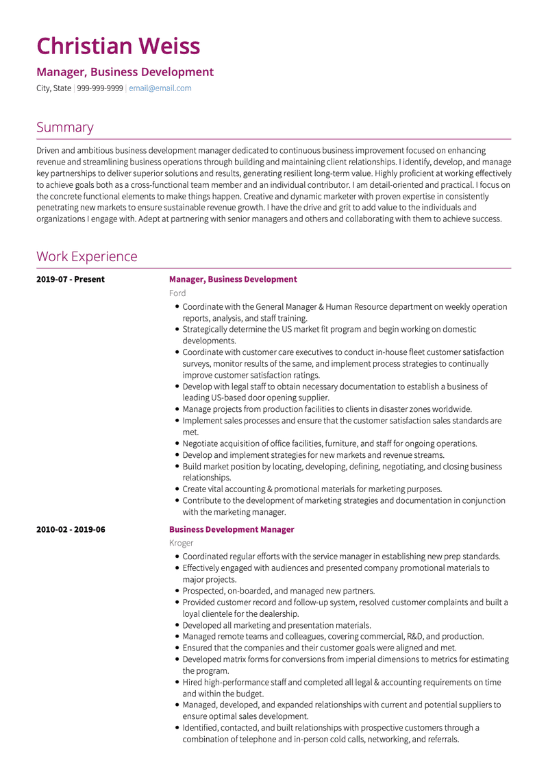 Business Development Manager CV Example and Template