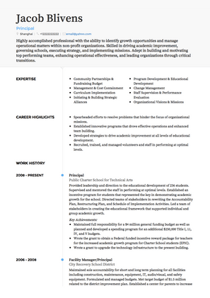 Principal CV Example and Template