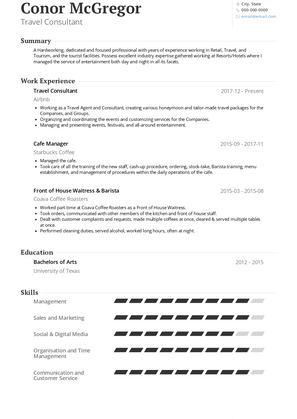 Travel Consultant Resume Sample and Template