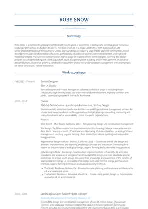 Senior Designer Resume Sample and Template