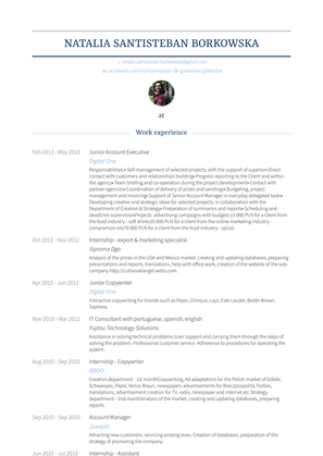 Junior Account Executive Resume Sample and Template