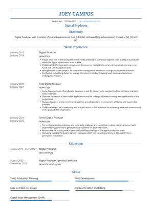 Digital Producer Resume Sample and Template