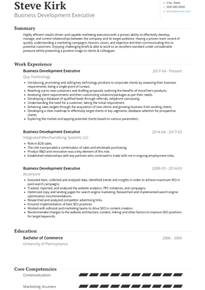 Business Development Executive Resume Sample and Template