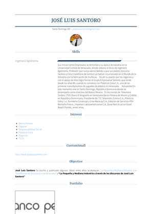 Presidente Resume Sample and Template