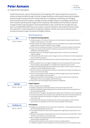 Senior Project and Planning Engineer CV Example and Template