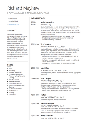 null CV Beispiel und Vorlage