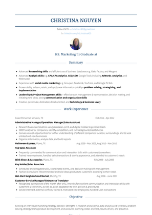 Project Leader Resume Sample and Template