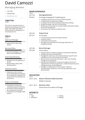 Managing Member Resume Sample and Template