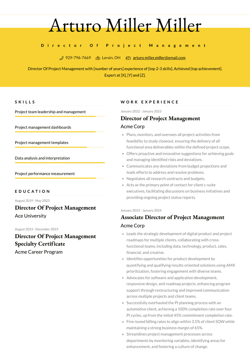 Director Of Project Management Resume Sample and Template