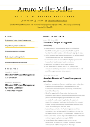 Director Of Project Management Resume Sample and Template