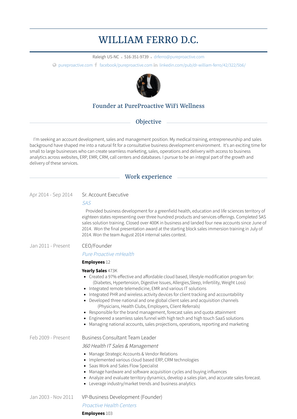 Sr. Account Executive Resume Sample and Template