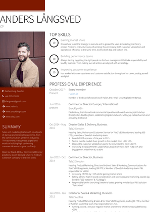 Director Sales & Delivery, Business Resume Sample and Template