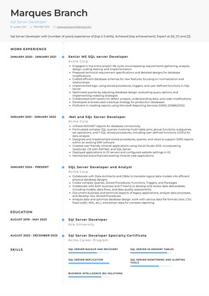 Sql Server Developer Resume Sample and Template